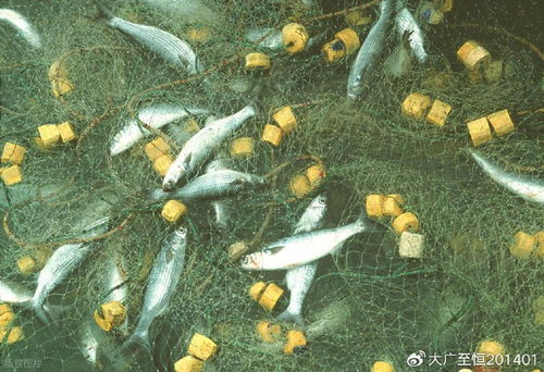 AquaTech 2026 馬來(lái)西亞漁業(yè)展覽會(huì) 領(lǐng)航漁業(yè)新紀(jì)元，驅(qū)動(dòng)畜牧漁業(yè)飼料銷售創(chuàng)新